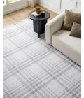 Hauteloom Alamea Light Gray SPRJINARAA1 12ft. x 15ft. Rect. Rug
