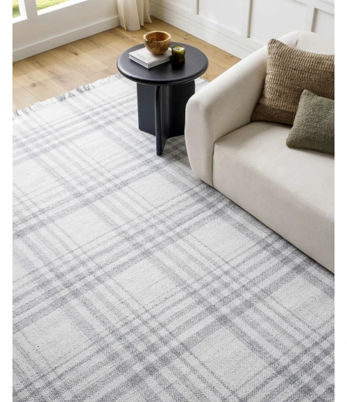 Hauteloom Alamea Light Gray SPRJINARAA1 12ft. x 15ft. Rect. Rug