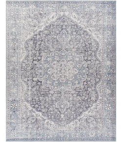 Hauteloom Alamea Charcoal TAVA 2ft.7in. x 10ft. Rect. Rug