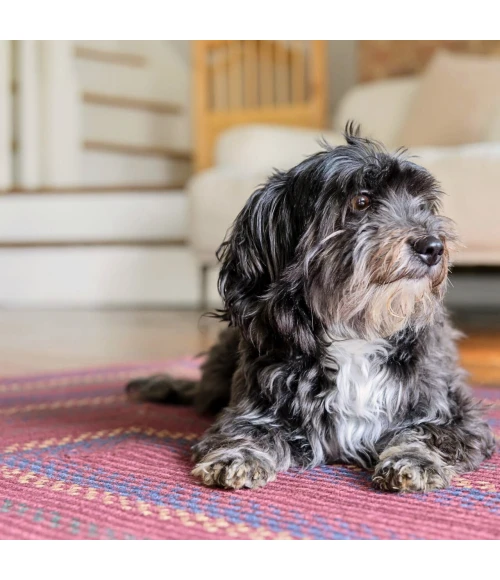 Homespice Decor Jute Braided Rug Burgundy & Navy Blue Jamestown 6ft. x 9ft. Rect. Rug