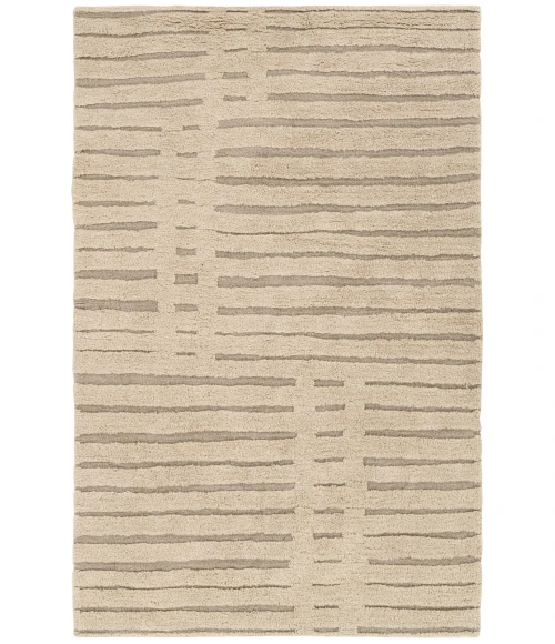 Jaipur Living Aibel Tan/Taupe Aib02 6 Ft. X 9 Ft. Rect. Rug