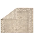 Jaipur Living Apollo Tan/Taupe APL01 6 ft. X 9 ft. Rectangle Rug