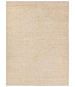 Jaipur Living Aposio Pranhita APS01 Beige - Cream 9 ft. X 12 ft. Rectangle Rug