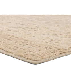 Jaipur Living Aposio Pranhita APS01 Beige - Cream 9 ft. X 12 ft. Rectangle Rug