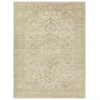 Jaipur Living Aposio Pranhita APS02 Sage - Light Gray 10 ft. X 14 ft. Rectangle Rug