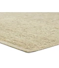 Jaipur Living Aposio Sage APS02 18 in. Swatch Square Rug