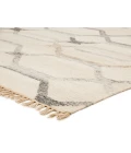 Jaipur Living Anatolia Ivory AT17 4 ft. X 6 ft. Rectangle Rug