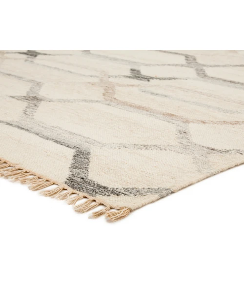 Jaipur Living Anatolia Ivory AT17 4 ft. X 6 ft. Rectangle Rug