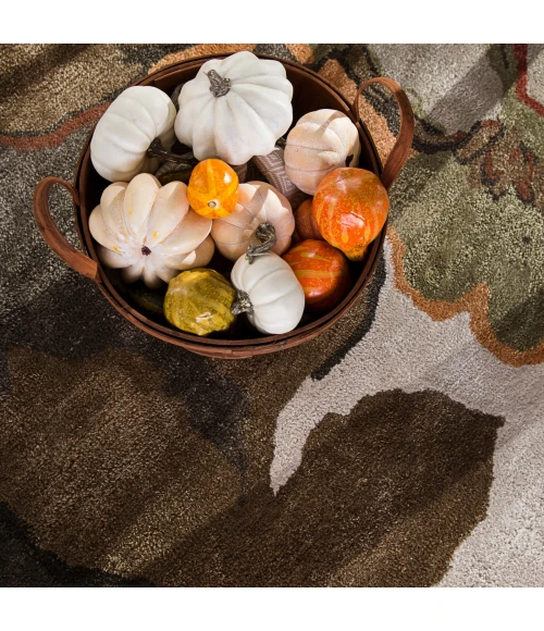 Jaipur Living Petal Pusher Handmade Floral Light Gray/ Multicolor Round Area Rug (6'X6')