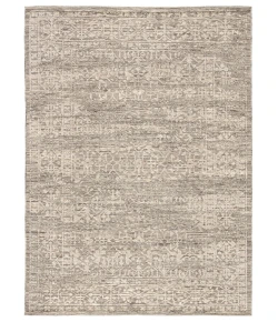 Jaipur Living Brier Sian BRR01 Gray - Beige 8 ft. X 11 ft. Rectangle Rug
