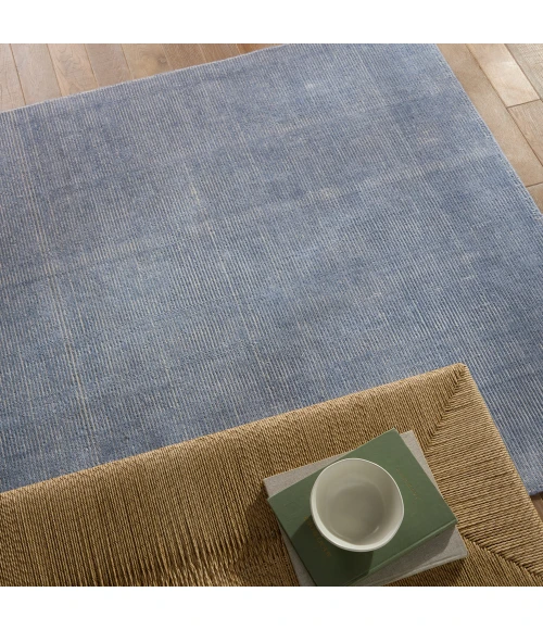 Jaipur Living Danan Indoor/ Outdoor Solid Light Blue/ Cream Area Rug 8'X10'