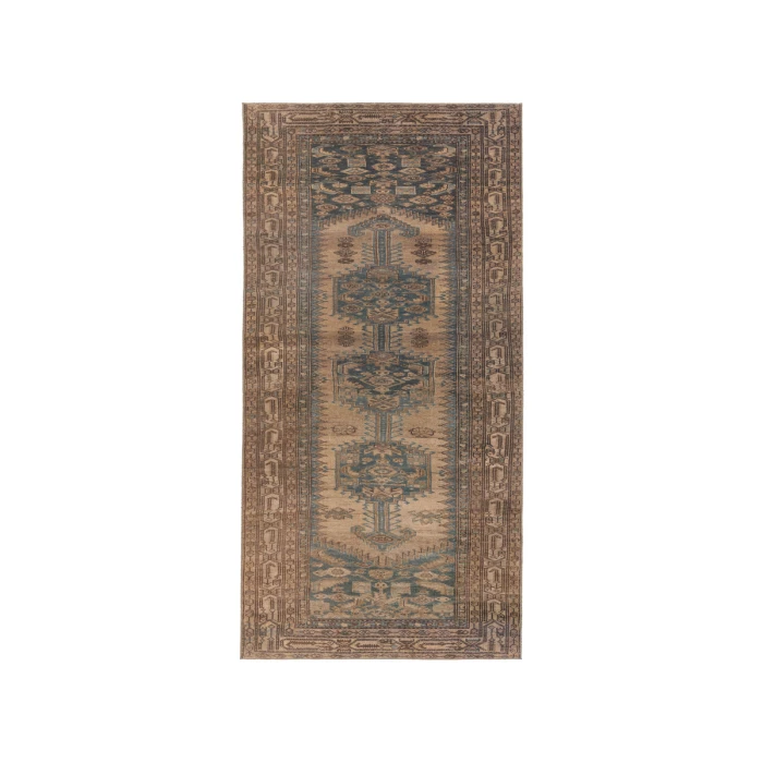 Jaipur Living Reeves Medallion Brown/ Blue Runner Rug 3'X10'