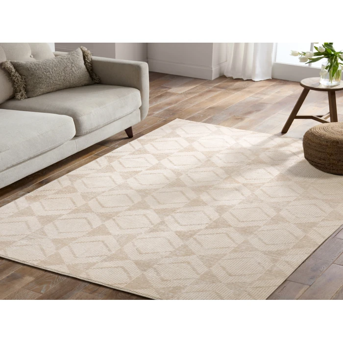 Jaipur Living Cirque Gray CIQ49 10 ft. 2 in. X 14 ft. Rectangle Rug