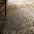 Jaipurliving Citrine Tanbeige Cit22 18 In. Swatch Square Rug