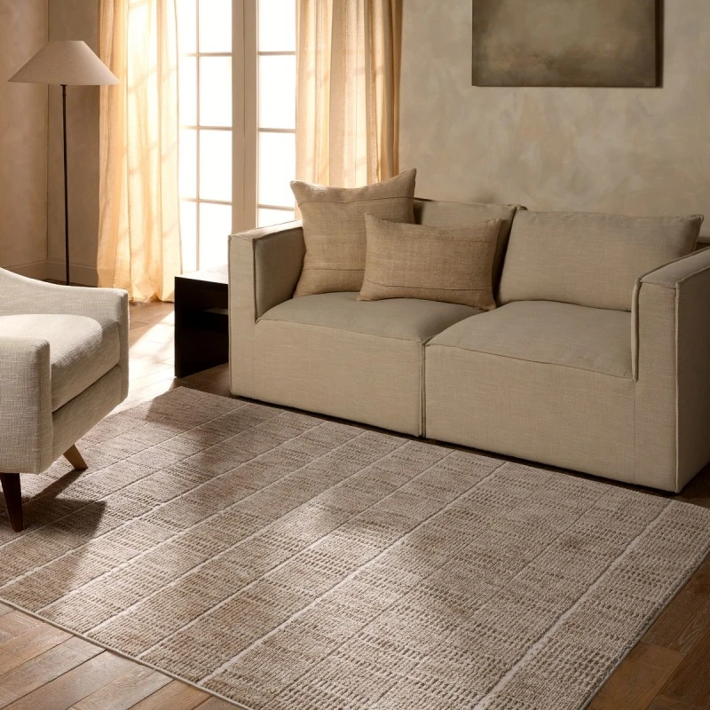 Jaipur Living Composure Beige Cmp07 18 In. Swatch Square Rug