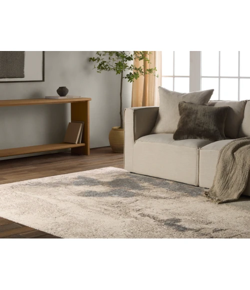 Jaipur Living Delmara Gray DLM04 5 ft. 3 in. X 7 ft. 6 in. Rectangle Rug