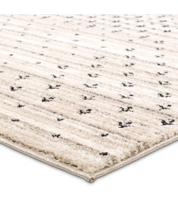 Jaipur Living Eva Ivory Eva06 6 Ft. X 9 Ft. Rect. Rug