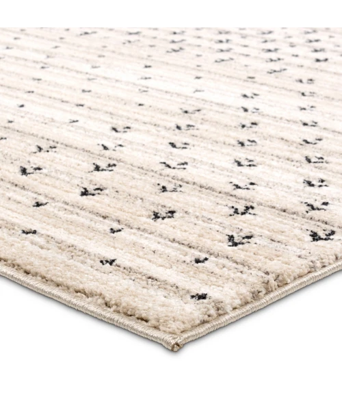 Jaipur Living Eva Ivory Eva06 6 Ft. X 9 Ft. Rect. Rug