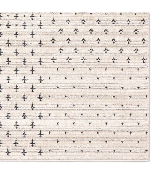 Jaipur Living Eva Ivory Eva06 6 Ft. X 9 Ft. Rect. Rug