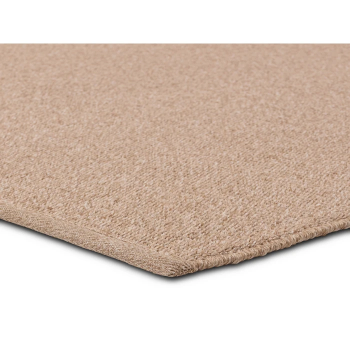 Jaipur Living Texel Indoor/Outdoor Solid Brown Area Rug 4'X6'