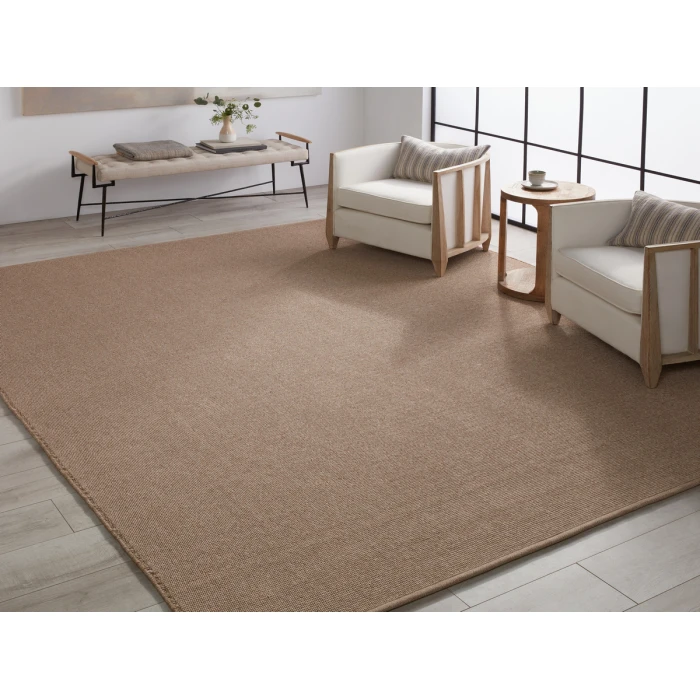 Jaipur Living Texel Indoor/Outdoor Solid Brown Area Rug 4'X6'