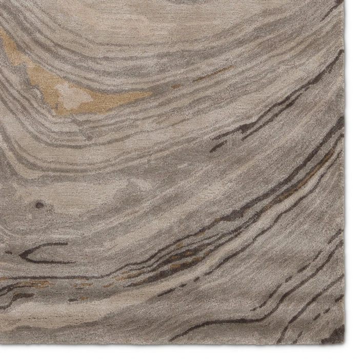 Jaipur Living Genesis Gray Ges11 2 Ft. X 3 Ft. Rect. Rug