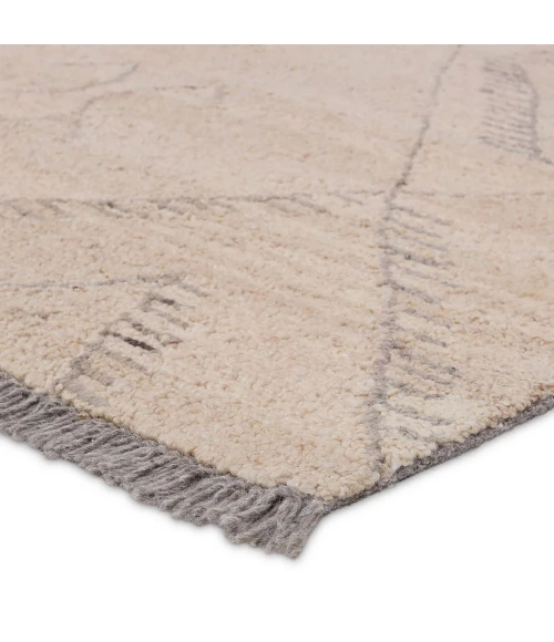 Jaipur Living Hadi Brown Had01 6 Ft. X 9 Ft. Rect. Rug