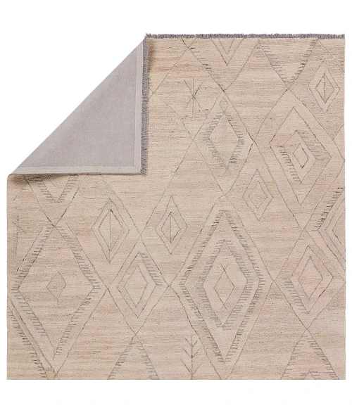 Jaipur Living Hadi Brown Had01 6 Ft. X 9 Ft. Rect. Rug