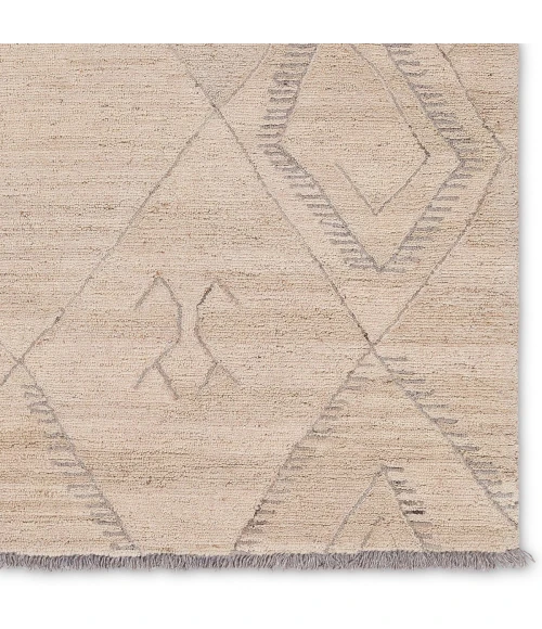 Jaipur Living Hadi Brown Had01 6 Ft. X 9 Ft. Rect. Rug