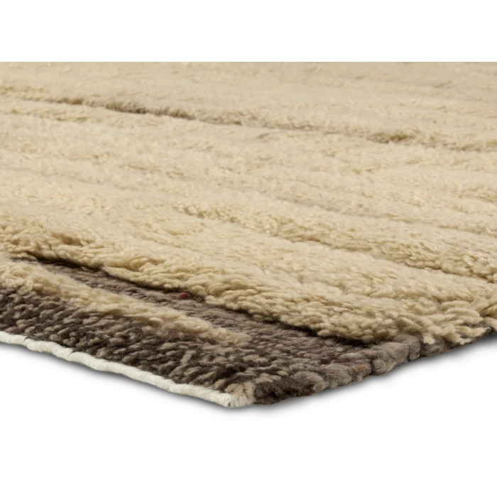 Jaipur Living Kounga Tan/Taupe KOU02 10 ft. X 14 ft. Rectangle Rug