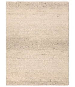 Jaipur Living Leona Folade LEO08 Natural - Tan/Taupe 10 ft. X 14 ft. Rectangle Rug