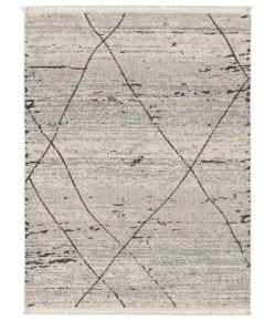 Jaipur Living Lore Imani LRE01 Gray - White 10 ft. X 14 ft. Rectangle Rug