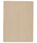 Jaipur Living Tampa Natural Geometric Gray Area Rug (10'X14')
