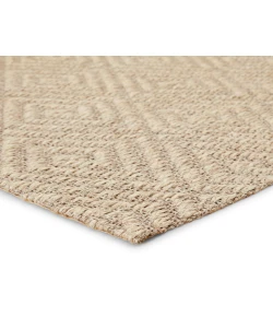 Jaipur Living Naturals Tobago Tampa NAT07 Gray 10 ft. X 14 ft. Rectangle Rug