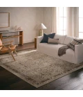 Jaipur Living Noelle Powerloomed Traditional Gray Area Rug (4'X6')