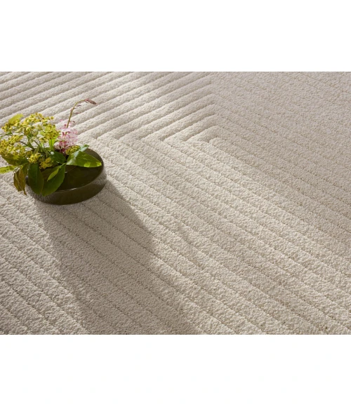 Jaipur Living Petros White PTR06 3 ft. 11 in. X 5 ft. 11 in. Rectangle Rug