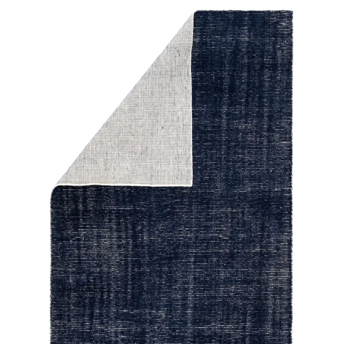 Jaipur Living Limon Indoor/ Outdoor Solid Blue/ White Area Rug (2'X3')