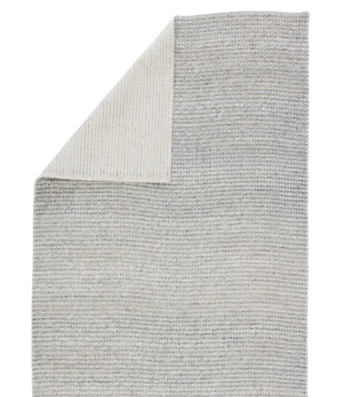 Jaipur Living Crispin Indoor/ Outdoor Solid Gray/ Ivory Area Rug (2'X3')