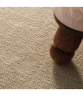 Jaipur Living Rebecca Natural (Tan / Beige / Taupe) Rbc16 9 Ft. 6 In. X 13 Ft. 6 In. Rect. Rug