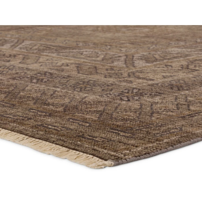 Jaipur Living Rhapsody Brown RHA20 10 ft. X 14 ft. Rectangle Rug
