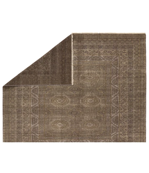 Jaipur Living Rhapsody Brown RHA20 8 ft. X 10 ft. Rectangle Rug