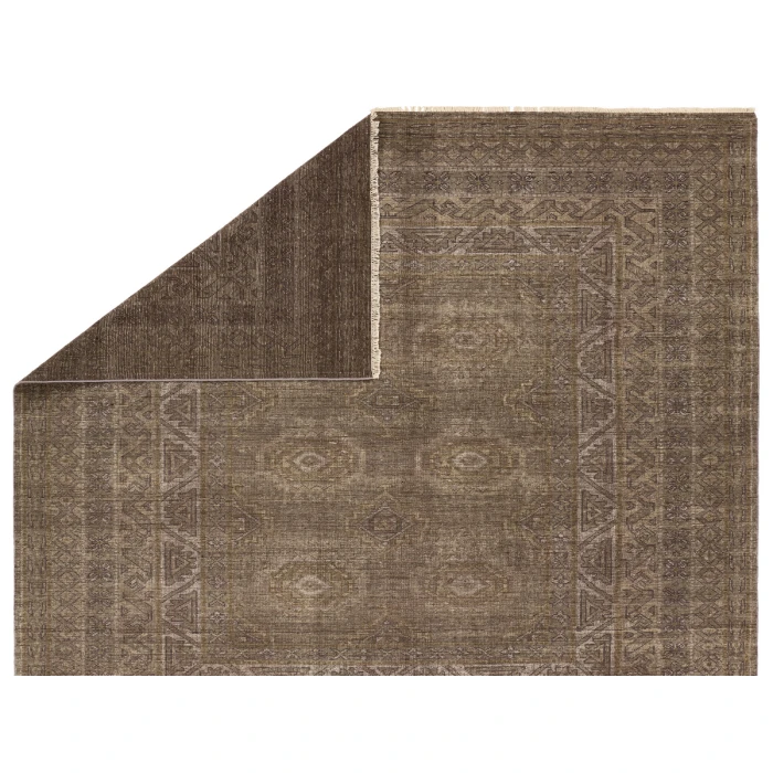 Jaipur Living Rhapsody Brown RHA20 10 ft. X 14 ft. Rectangle Rug
