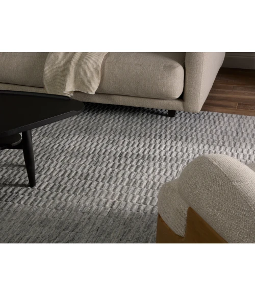 Jaipur Living Roan Gray ROA02 5 ft. X 8 ft. Rectangle Rug