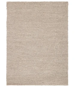 Jaipur Living Scandinavia Dula Braiden SCD08 Gray 5 ft. X 8 ft. Rectangle Rug