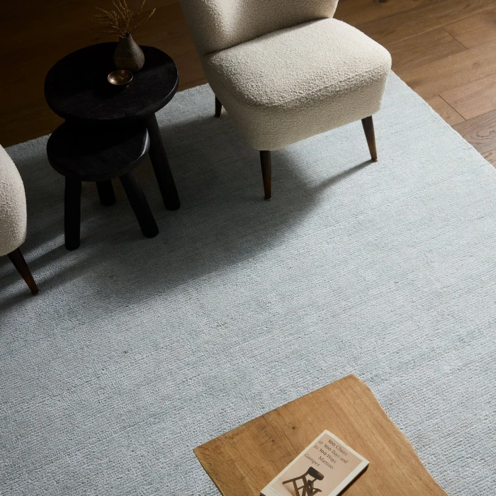 Jaipur Living Dilwyn SFH03 Handwoven Solid Blue Area Rug (7'9"X9'9")