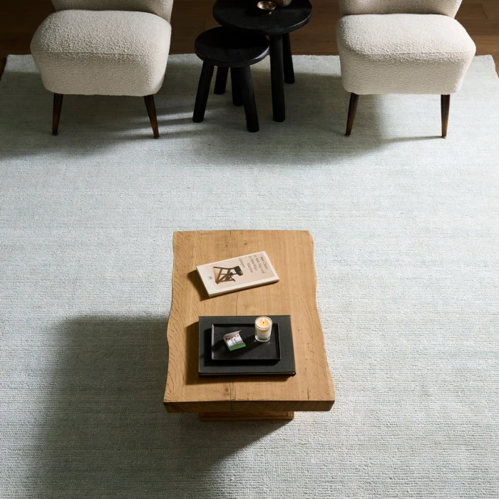 Jaipur Living Dilwyn SFH03 Handwoven Solid Blue Area Rug (7'9"X9'9")