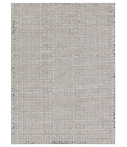 Jaipur Living Sundar Baxley SUD06 Gray - Beige 9 ft. 3 in. X 12 ft. Rectangle Rug