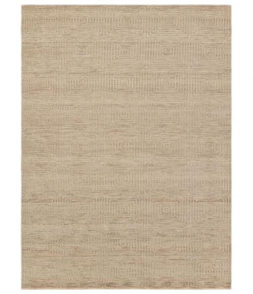 Jaipur Living Tasa Tan/Taupe TAS01 10 ft. X 14 ft. Rectangle Rug