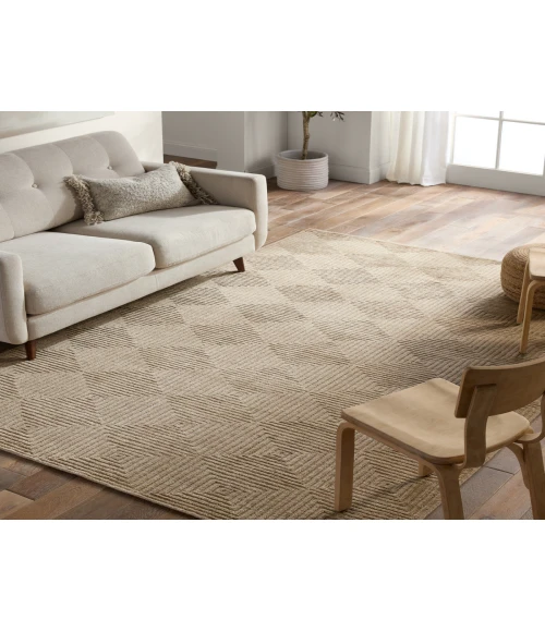 Jaipur Living Tasa Tan/Taupe TAS01 10 ft. X 14 ft. Rectangle Rug