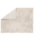 Jaipur Living Brochan Abstract Gray/Cream Area Rug 3'11"X5'11"